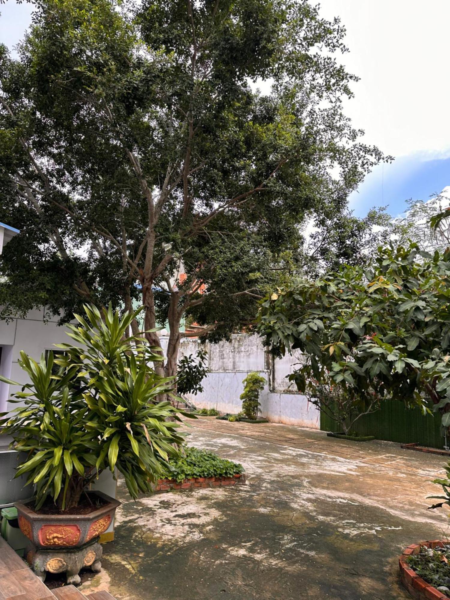Bungalow Hotel Chi Khu Co Ong Bagian luar foto