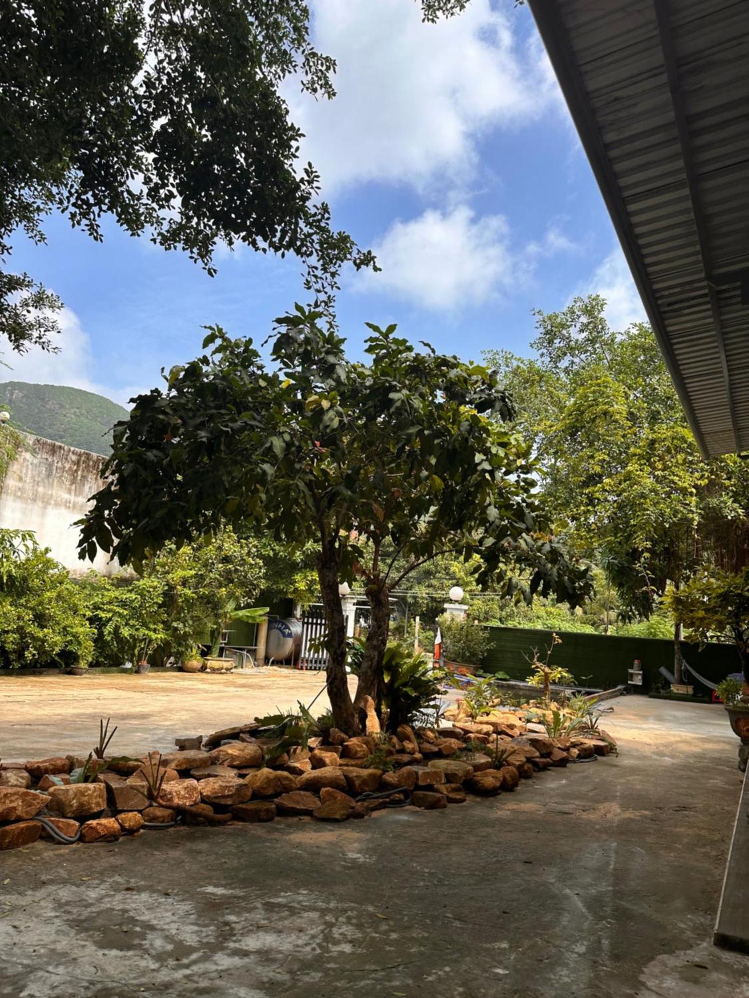 Bungalow Hotel Chi Khu Co Ong Bagian luar foto