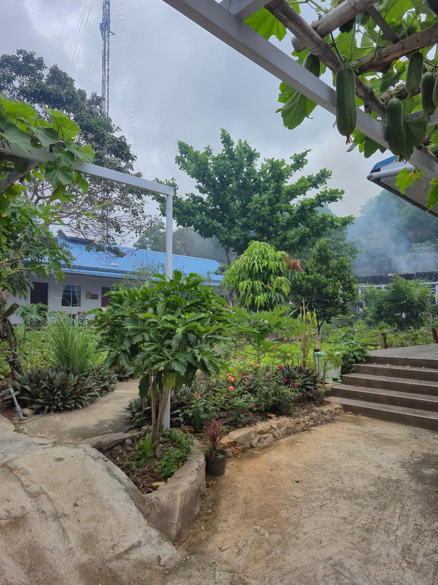 Bungalow Hotel Chi Khu Co Ong Bagian luar foto