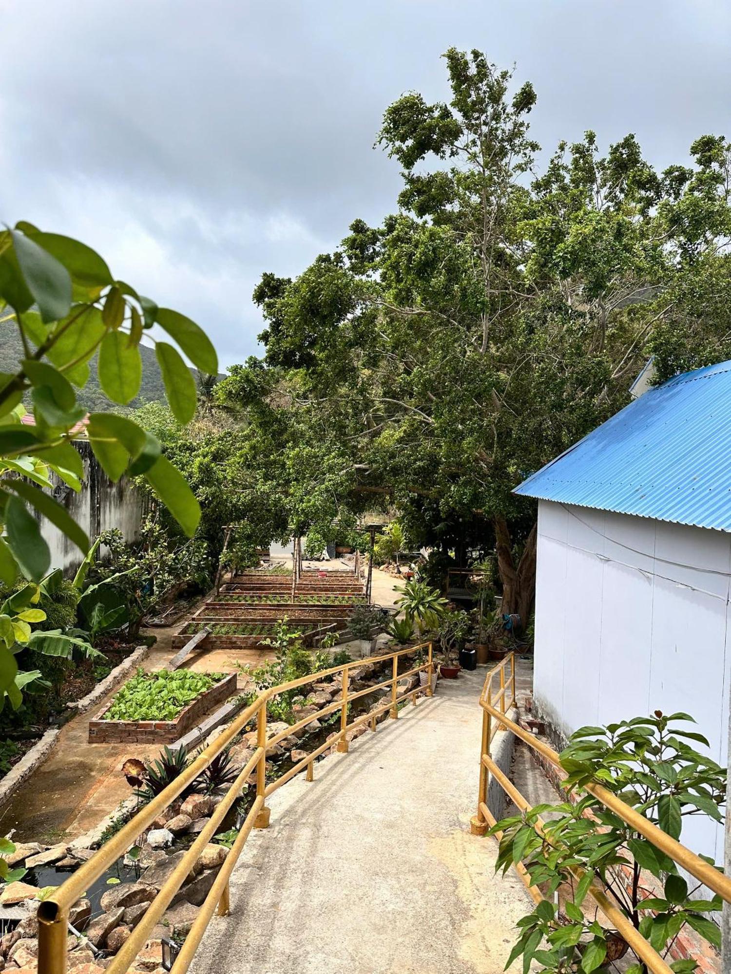Bungalow Hotel Chi Khu Co Ong Bagian luar foto